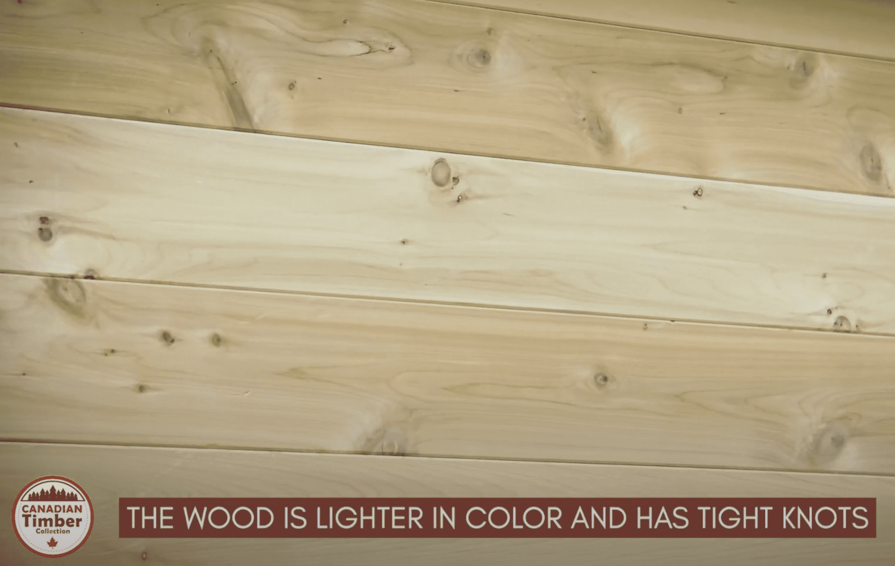 Dundalk CT Georgian 6 Person Outdoor Sauna with Changeroom